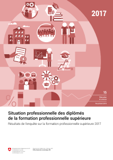 Situation professionnelle des diplômés de la formation professionnelle supérieure