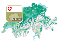 Parteistärke der Schweizerischen Volkspartei (SVP)