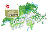 Parteistärke der Grünliberalen Partei (GLP)