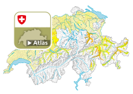 Parteistärke der Bürgerlich-Demokratischen Partei (BDP)