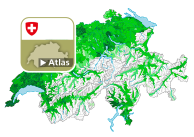 Parteistärke der Grünen Partei der Schweiz (GPS)