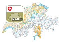 Parteistärke der kleinen Rechtsparteien