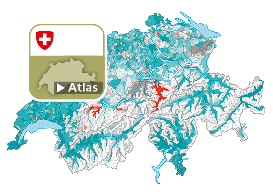 Variation des verts, de 2003 à 2019