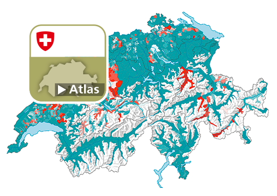 Veränderung der Parteistärke der Schweizerischen Volkspartei (SVP), 1991-2019