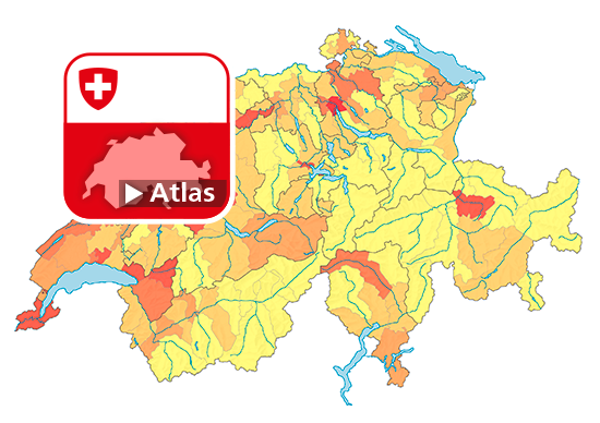 Strafgesetzbuch (StGB): Häufigkeitszahl der Straftaten, 2019