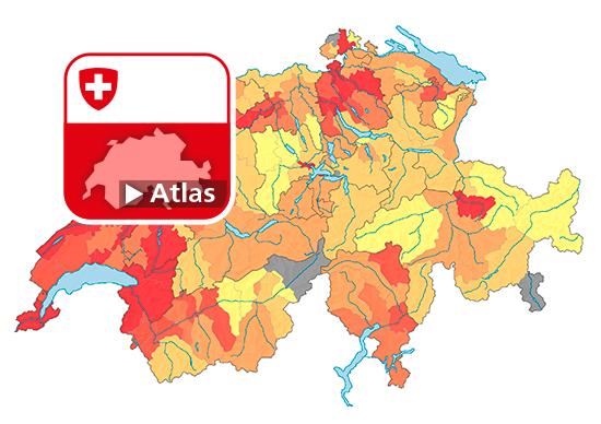 Strafgesetzbuch (StGB): Häufigkeitszahl Gewaltstraftaten, 2019