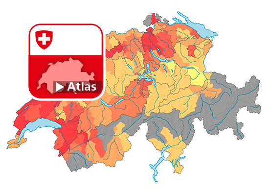Strafgesetzbuch (StGB): Häufigkeitszahl Tätlichkeiten (Art. 126), 2019
