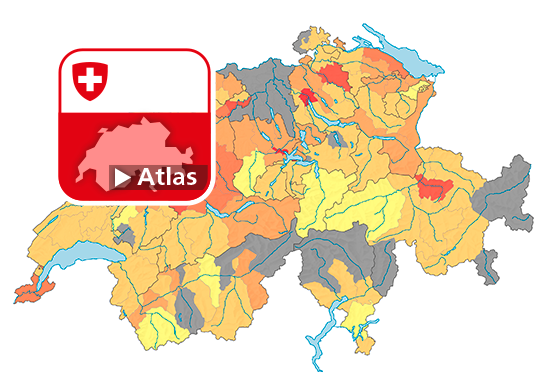 Strafgesetzbuch (StGB): Häufigkeitszahl Fahrraddiebstahl (Art. 139), 2019