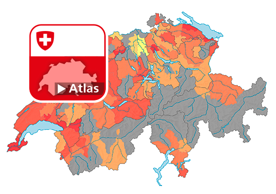 Strafgesetzbuch (StGB): Häufigkeitszahl Fahrzeugdiebstahl ohne Fahrraddiebstahl (Art. 139), 2019