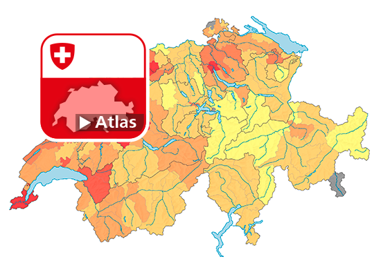 Strafgesetzbuch (StGB): Häufigkeitszahl Sachbeschädigung ohne Diebstahl (Art. 144), 2019