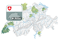 Rapport de dépendance des jeunes