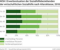 WSH: Erwerbssituation der Sozialhilfebeziehenden der wirtschaftlichen Sozialhilfe nach Altersklasse