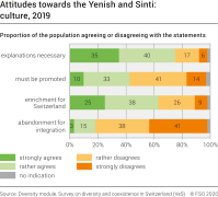 Attitudes towards the Yenish and Sinti: culture