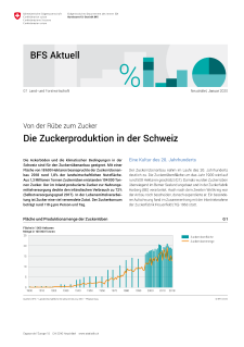 Von der Rübe zum Zucker