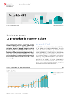 De la betterave au sucre