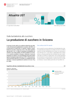 Dalla barbabietola allo zucchero