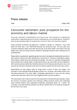 Consumer sentiment: poor prospects for the economy and labour market