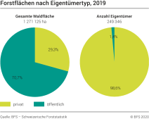 Forstflächen nach Eigentümertyp