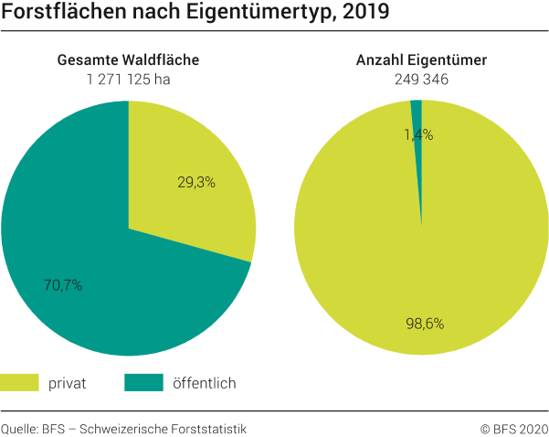 Forstflächen nach Eigentümertyp
