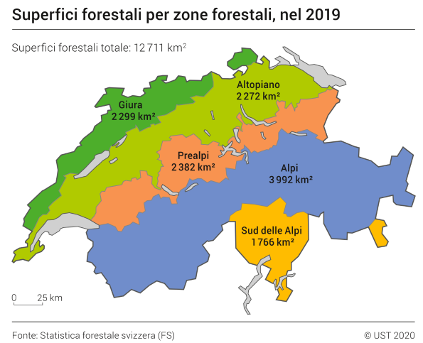 Superfici forestali per zone forestali