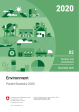 Environment. Pocket Statistics 2020