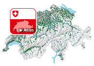 Beschäftigte im 1. Wirtschaftssektor