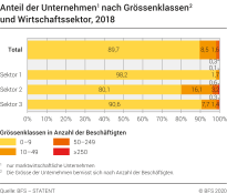 Anteil der Unternehmen nach Grössenklassen und Wirtschaftssektor