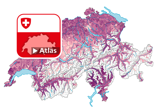 Anteil Einfamilienhäuser am Gebäudebestand mit Wohnnutzung, 2019