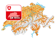 Ménages d'une personne