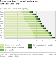 Net expenditure for social assistance in the broader sense