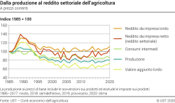 Dalla produzione al reddito settoriale dell'agricoltura - Indice