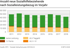 Anzahl neue Sozialhilfebeziehende nach Sozialleistungsbezug im Vorjahr