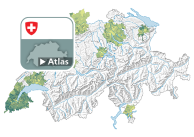 Rapport de dépendance des jeunes