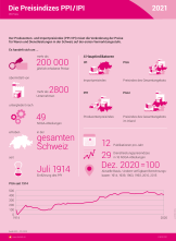Die Preisindizes PPI/IPI