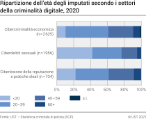 Ripartizione dell'età degli imputati secondo i settori della criminalità digitale