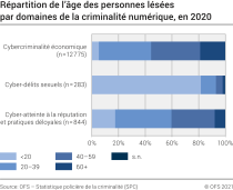 Répartition de l’âge des personnes lésées par domaines de la criminalité numérique