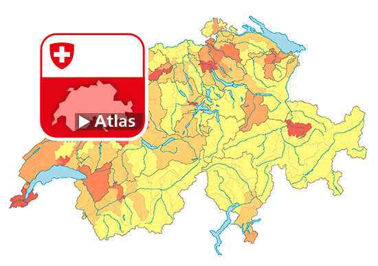 Strafgesetzbuch (StGB): Häufigkeitszahl der Straftaten, 2020
