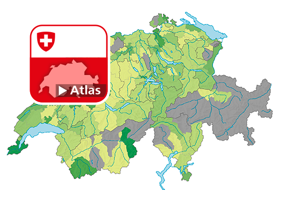 Ausländer- und Integrationsgesetz (AIG): Häufigkeitszahl der Straftaten, 2020