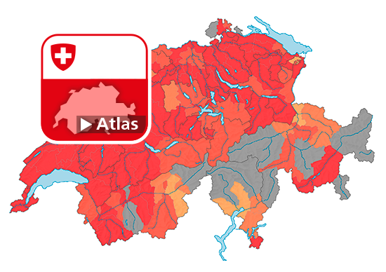 Strafgesetzbuch (StGB): Häufigkeitszahl Betrug (Art.146), 2020