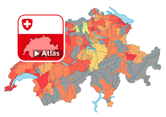 Strafgesetzbuch (StGB): Häufigkeitszahl Fahrzeugdiebstahl ohne Fahrraddiebstahl (Art. 139), 2020