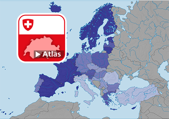 Personnes ayant le plus haut niveau de formation (degré tertaire), en 2019