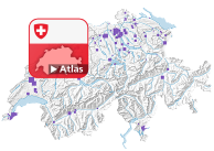 Anstalten des Freiheitsentzuges