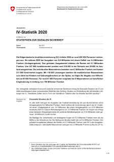 IV-Statistik 2020