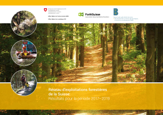 Réseau d'exploitations forestières de la Suisse: Résultats pour la période 2017-2019