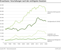 Erwachsene: Verurteilungen nach den wichtigsten Gesetzen