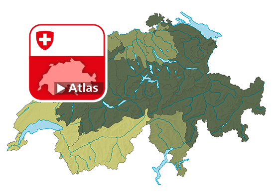 Informelle Freiwilligenarbeit