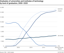 Graduates of universities and institutes of technology. Trends by level of graduation
