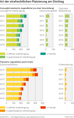 Art der strafrechtlichen Platzierung von Jugendlichen am Stichtag