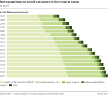 Net expenditure on social assistance in the broader sense, by benefit