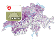 Volksinitiative «Für eine Schweiz ohne synthetische Pestizide»